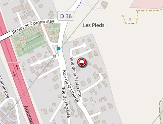 Carte de Curecheru Leonas à Chasse-sur-rhône