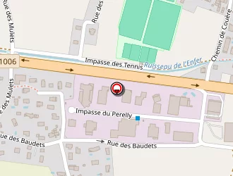 Carte de Cabinet Roy à Ruy