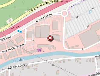 Carte de Dekra C.a.t.s . à Givors