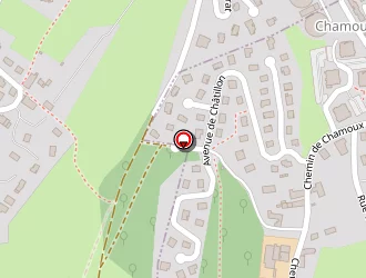 Carte de La Promotion Du Blues à Chambéry