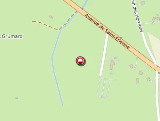 Carte de Gonon à Montbrison