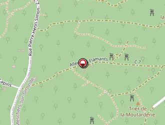 Carte de Rodrigues José à Roche-blanche (la)