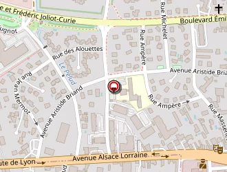 Carte de Hôtel Des Dauphins à Domarin