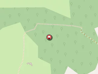 Carte de Duroueix Patrick à Teyjat