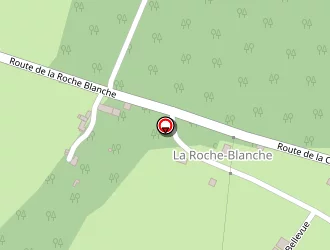 Carte de Chaminade Eric à Ladignac-le-long