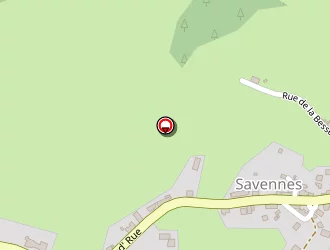 Carte de Cordes Robert à Savennes