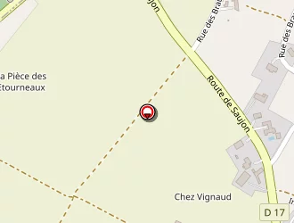 Carte de Castincaud Nicolas à Cozes