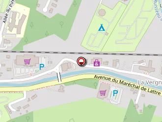 Carte de Boyer Et Associés à Bourboule (la)