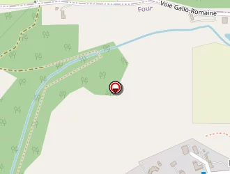 Carte de Colomb à Four