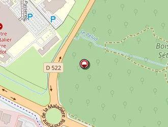 Carte de Hôtel Gril De Bourgoin à Bourgoin-jallieu