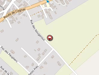 Carte de Raboteau Marion à Bougneau