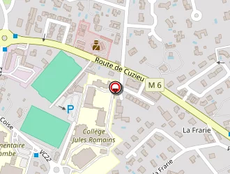 Carte de Royer Philippe à Saint-galmier