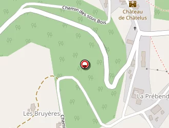 Carte de Bruyas Michel à Châtelus