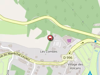 Carte de Garage Roulet à Bourboule (la)