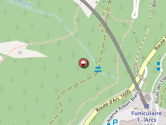 Carte de Lepage Jérôme à Bourg-saint-maurice