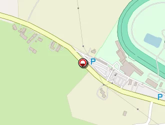 Carte de Roche Michel à Saint-galmier