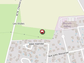 Carte de Desselier Ludivine à Saint-galmier