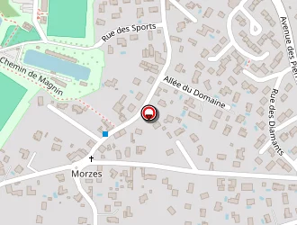 Carte de Entreprise Ternaysarde De Travaux Publics (ettp) à Ternay