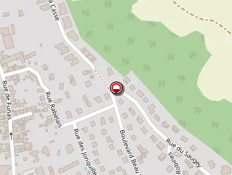 Carte de Avsar Musa à Bourgoin-jallieu