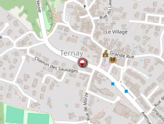 Carte de P.a.g.e Pesonnelle à Ternay