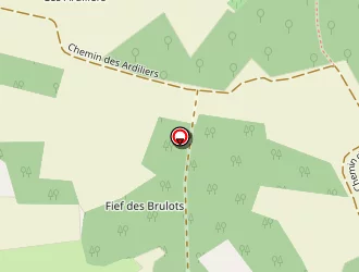 Carte de Baert Julien à Thaims