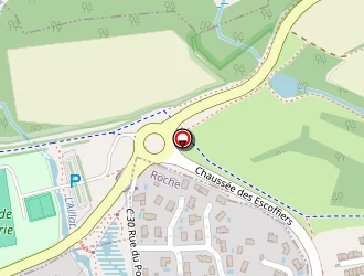 Carte de Chuzeville Dominique à Roche