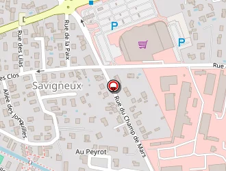 Carte de Brunel à Savigneux