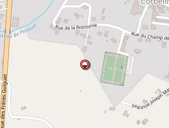 Carte de Sv Electric à Corbelin