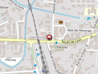 Carte de Vial Florian à Montbrison