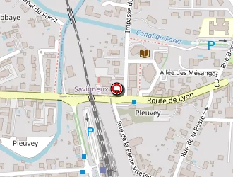 Carte de Driol Jérôme à Savigneux