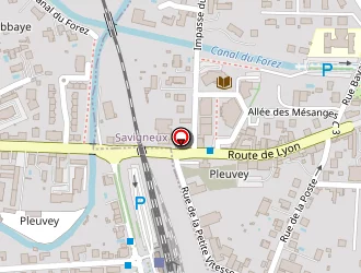 Carte de Le Central à Savigneux