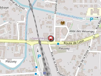 Carte de Kaczmarczyk Jacek à Montbrison