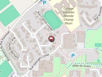 Carte de Karagoz Rafet à Bourgoin-jallieu