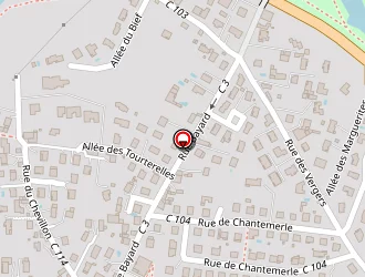 Carte de La Poste à Savigneux