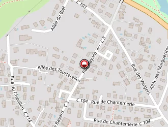 Carte de La Poste à Savigneux