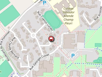 Carte de Céline Zimmer à Bourgoin-jallieu