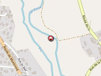 Carte de Seytre Bernard à Cuzieu