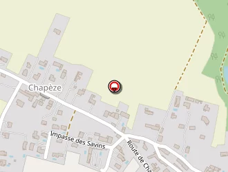 Carte de Chevalier Patrick à Saint-savin