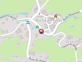 Carte de Monier Henri à Roche