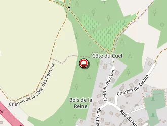 Carte de Pinchemaille Laurent à Coudes