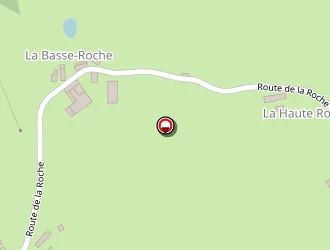 Carte de Rousier Michel à Ladignac-le-long