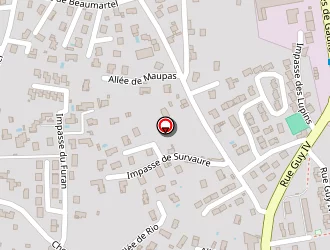 Carte de Boule Montbrisonnaise à Montbrison