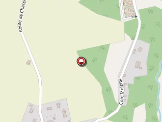 Carte de Ferrand Hervé à Veyrins-thuellin