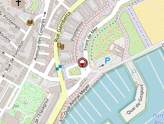 Carte de Douanes à Royan