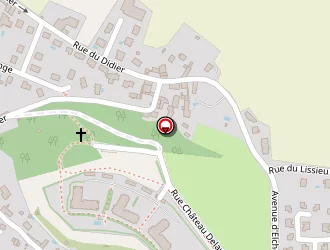 Carte de Chomel Thierry à Isle-d'abeau (l')