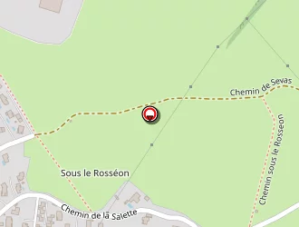 Carte de Georges Perrin à Mornant