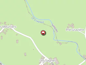 Carte de Ipas Mickaël à Manglieu