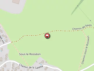 Carte de Perrin Georges à Mornant