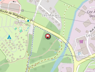 Carte de Taxis Nicolas à Séez