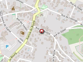 Carte de Houver Laëtitia à Isle-d'abeau (l')